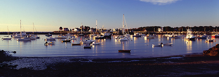 Early Morning Light on a Cove, Maine